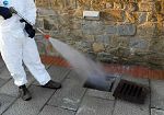 ​Erice, programmati altri 3 giorni di disinfestazione