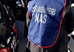 Lampedusa e Pantelleria, controlli del Nas: stop a ristoranti abusivi e sequestri di alimenti