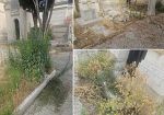 ​Trapani, al cimitero “spettacolo desolante di abbandono totale”