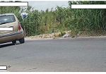 Lotta all'inciviltà a Petrosino: attive le telecamere 