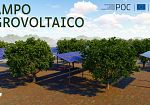 A Favignana nasce il primo impianto agrovoltaico tra ulivi e innovazione energetica sostenibile