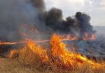 Incendi, oltre 18 milioni per la riforestazione: pubblicato elenco progetti ammissibili