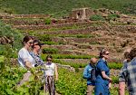 Pantelleria DOC ha accolto i 