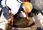 Pantelleria, interventi della Guardia Costiera: salvata tartaruga e soccorsa bagnante