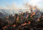 Incendi, Anci Sicilia: “Serve una strategia regionale più forte sulla prevenzione e la tutela dei territori”