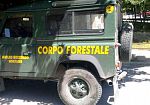 Concorso Forestale Sicilia, stop del TAR all’esclusione del candidato senza esami approfonditi