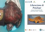 Favignana, Penelope torna in mare: la tartaruga salvata dopo l’ingestione di plastica sarà liberata venerdì