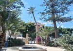 Palma pericolante a Villa Cavallotti, l’accesso fruibile da via Cesare Battisti