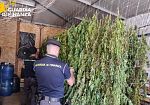 Sequestrati 400 chili di marijuana nel Palermitano: droga per oltre 2 milioni di euro