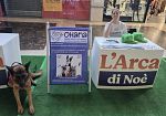 ​La dr.ssa mazarese Anna Bologna ospite a “L’Arca di Noè in Tour” 