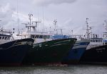 Pesca, Flai Cgil e Uila Uil Trapani sul bando da 17 milioni: 