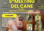 Ad Alcamo il sesto meeting del cane