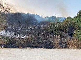castelvetrano/selinunte-distrutti-otto-ettari-di-macchia-mediterranea-nella-pre-riserva