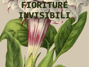 alcamo-sinaugura-la-mostra-fioriture-invisibili