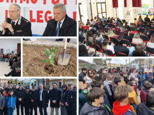 partanna-piantato-lalbero-di-falcone-un-simbolo-di-legalita-per-le-nuove-generazioni