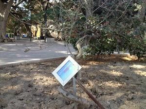 il-ricordo-di-denise-pipitone-dimenticato-nella-villa-al-mare