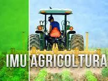 mazara-c-i-a-chiede-al-sindaco-cristaldi-di-abbassare-l-imu-terreni-agricoli