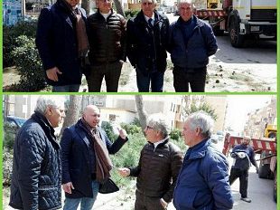 potatura-e-sfoltitura-degli-alberi-nella-via-potenza