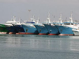 mazara-pesca-il-m5s-incontra-armatori-sulla-questione-libia