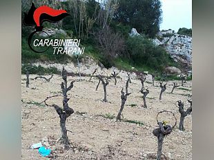 omicidio-indelicato-bonetta-confessa-il-delitto-era-nascosto-nel-portabagagli-dellauto-della-buffa