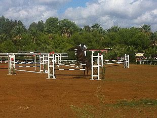 equitazione-a-marsala-si-replica