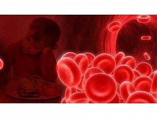 per-persone-affette-da-favismo-emanato-un-provvedimento-a-tutela