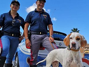bilancio-positivo-per-edward-la-campagna-di-sicurezza-della-polizia-stradale