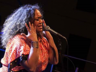 alcamo-torna-il-summertime-blues-festival