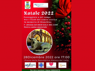 mazara-martedi-28-dicembre-la-prima-edizione-della-passeggiata-a-sei-zampe