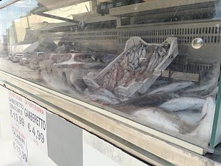 trapani/castellammare-del-golfo-sequestrati-oltre-30-chili-di-pesce-non-tracciabile