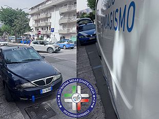 alcamo-la-vicepresidente-nazionale-dellassociazione-unanima-mille-zampe-italia-e-stata-aggredita