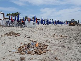 spiaggia-di-tonnarella-il-duemila-il-comune-avvii-subito-pulizia-e-disinfestazione