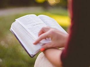 citta-che-legge-marsala-presenta-la-candidatura-sostenuta-da-enti-scuole-associazioni-librerie-media