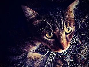 mazara-contest-la-foto-della-settimana-ecco-lo-scatto-vincente-30