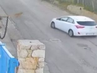 alcamo-automobilista-investe-la-cagnolina-nina-e-fugge-lasciandola-agonizzante-sullasfalto