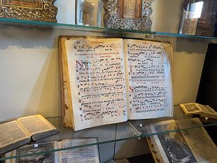 castelbuono-i-musei-civico-e-mina-palumbo-trainano-cultura-ricerca-e-innovazione-nelle-madonie