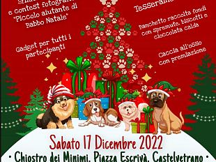lenpa-castelvetrano-organizza-il-natale-a-4-zampe-al-chiostro-dei-minimi