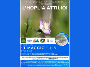 mazara-l11-maggio-lescursione-naturalistica-alla-ricerca-dellhoplia-attilioi