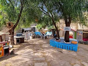 favignana-sequestrata-loasi-felina-a-amici-di-saie-e-abusiva