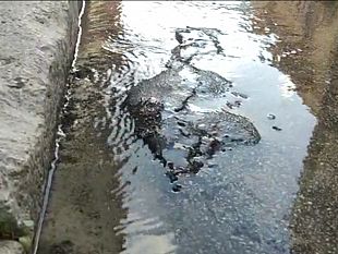 mazara-via-bg-cusmano-acqua-pubblica-che-sgorga-dallasfalto-che-spreco