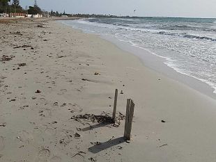 bandiera-verde-per-tonnarella-ottimo-adesso-pero-bisogna-fare-molto-di-piu