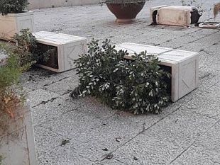 atto-vandalico-nel-sistema-delle-piazze-distrutte-alcune-fioriere