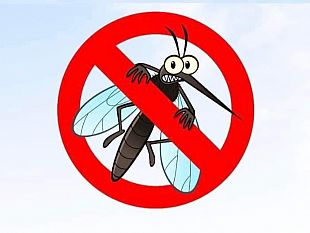 mazara-ii-ciclo-di-disinfestazione-straordinaria-a-tonnarella