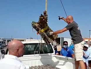 trapani/levanzo-recuperati-due-rostri-della-battaglia-delle-egadi