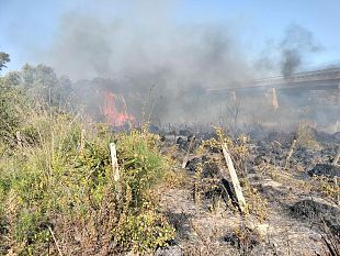 marsala/marsala-operazione-di-polizia-municipale-contro-il-reato-di-combustione-illecita-rifiuti