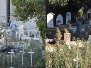 cimitero-comunale-di-marsala-avviata-la-manutenzione-delle-aree-a-verde