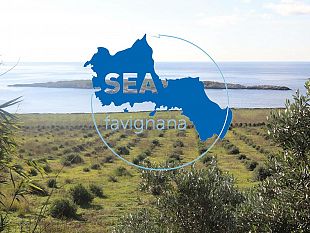 caro-bollette-sea-favignana-ottima-la-convocazione-di-un-tavolo-tecnico