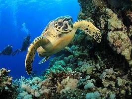 stasera-alla-lega-navale-la-presentazione-del-volume-ombre-dal-fondo