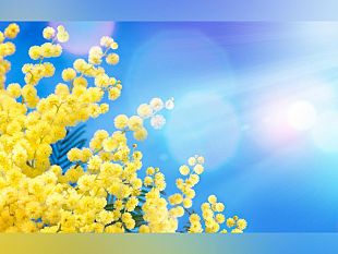 donna-conviene-il-duemila-dedica-un-capitolo-al-lavoro-delle-donne-a-mazara-del-vallo