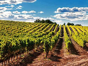 obiettivo-citta-mozione-su-rincari-benefici-irrigui-e-costo-dellacqua